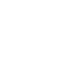 PSN Logo Icon